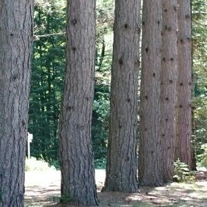 Meet your Posher, Meghan