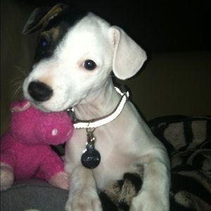 Meet your Posher, Tracy