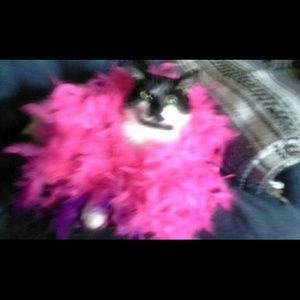 Meet your Posher, Michael