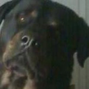 Meet your Posher, Charles