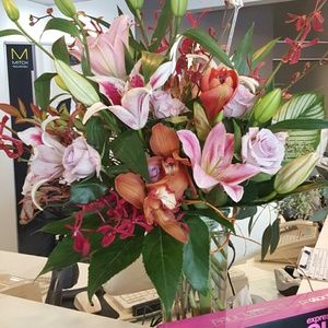 Meet your Posher, Janel