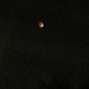 Meet your Posher, Carol