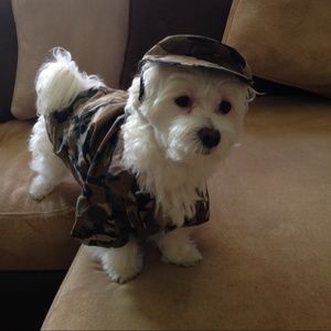 Meet your Posher, Maria