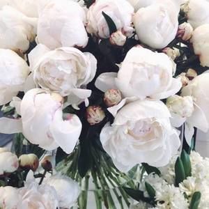 Meet your Posher, Wing