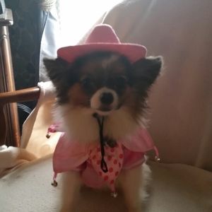 Meet your Posher, Kim