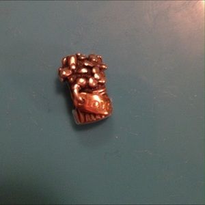 Pandora charm