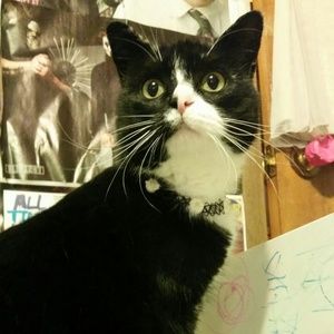 Meet your Posher, Tara