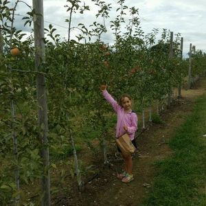 Meet your Posher, Monique