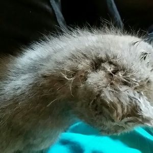 Meet your Posher, Renee