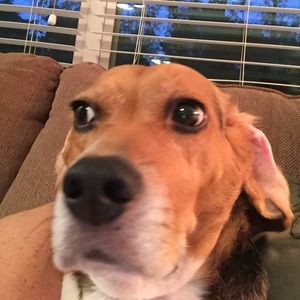 Meet your Posher, Sandy