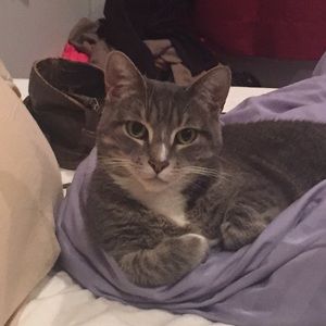 Meet your Posher, Cara