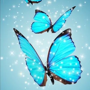 Meet your Posher, Mandy