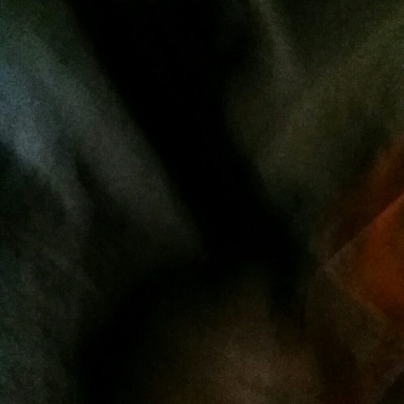 Meet your Posher, Dillon - Picture 1 of 1