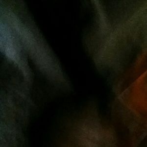 Meet your Posher, Dillon