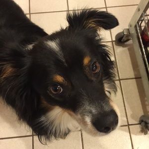 Meet your Posher, Tegan