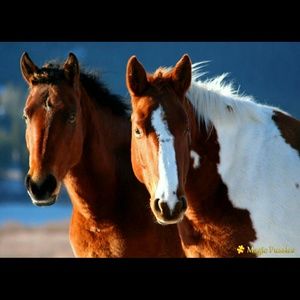 Meet your Posher, Lydia