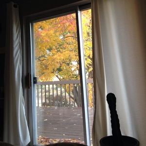 Meet your Posher, Kylie