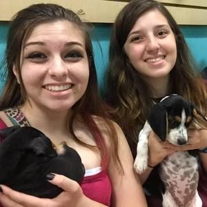 Meet your Posher, Lauren