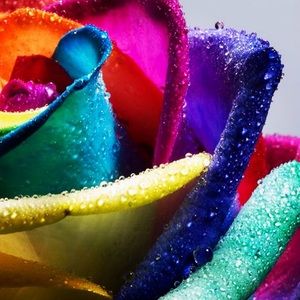 Meet your Posher, Ryann