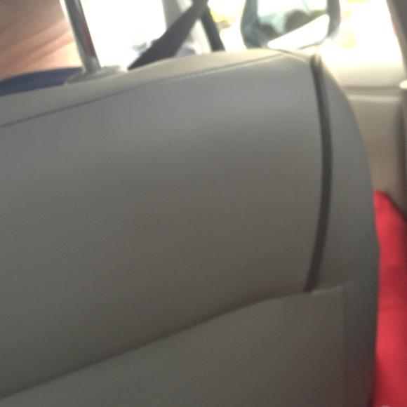 Meet your Posher, Jadyn - Picture 1 of 1