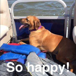 Meet your Posher, Jenny