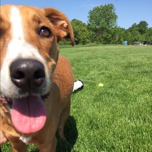 Meet your Posher, Sam