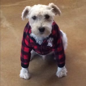 Meet your Posher, Irene