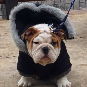 Meet your Posher, Jen