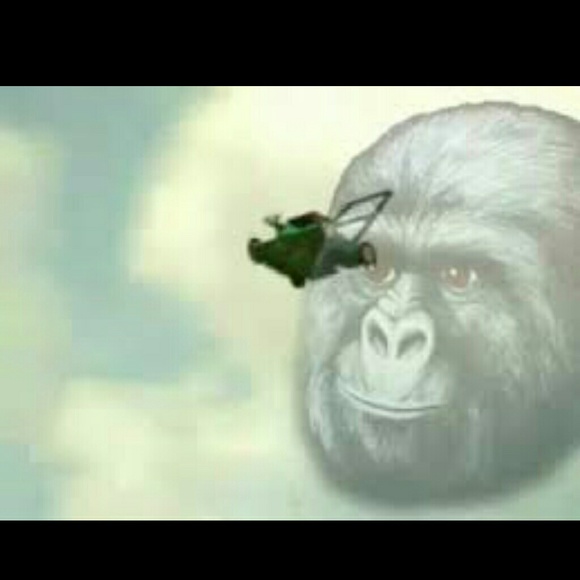 Meet your Posher, Jocelyn