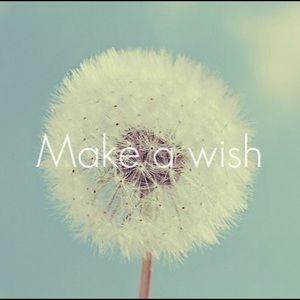 Meet your Posher, Alianna