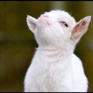 Meet your Posher, Caitlin