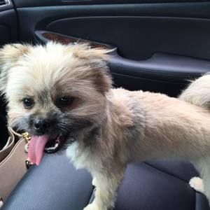 Meet your Posher, Robin