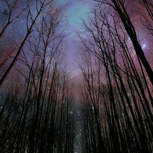 Meet your Posher, Summer