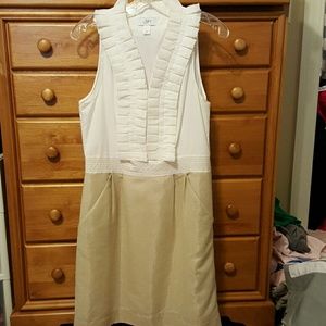 Ann Taylor loft dress comfortable and stylish