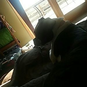 Meet your Posher, Dawn