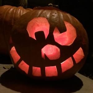 Meet your Posher, Misty