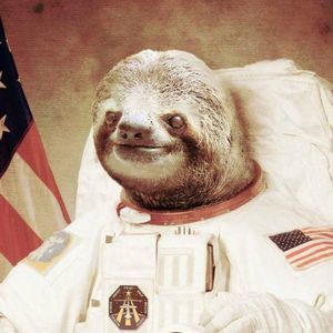 Meet your Posher, Annie