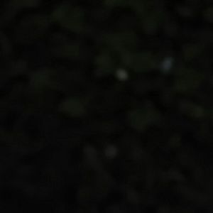 Meet your Posher, Dominique