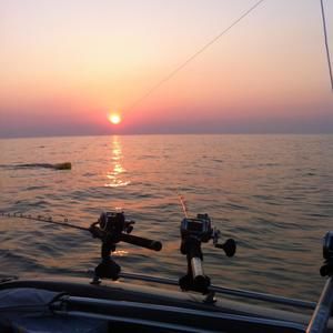 Meet your Posher, Chad