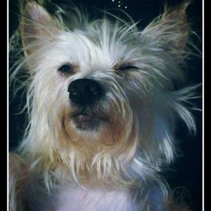 Meet your Posher, Veronica