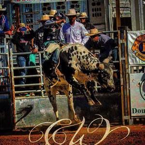 Meet your Posher, Dawson