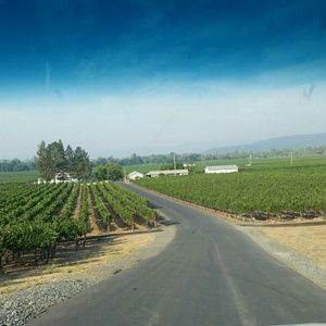 Meet your Posher, Launa