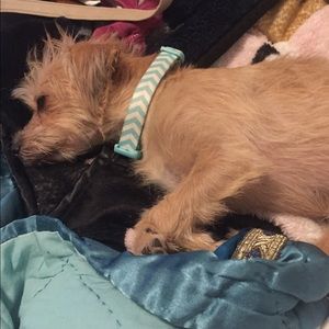 Meet your Posher, Liz