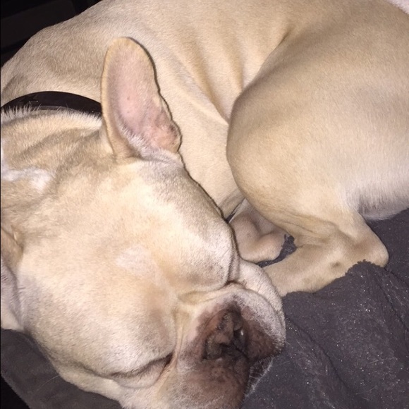 Meet your Posher, Kailey - Picture 1 of 1