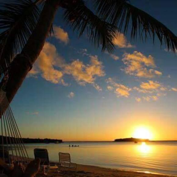 Meet your Posher, Dena - Picture 1 of 1