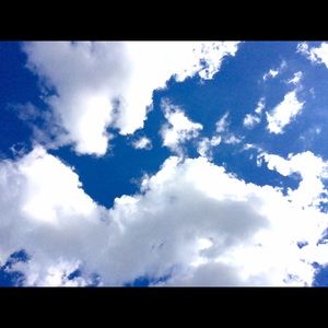 Meet your Posher, Erika