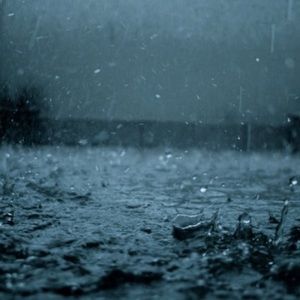 Meet your Posher, Riley