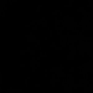 Meet your Posher, Alisa