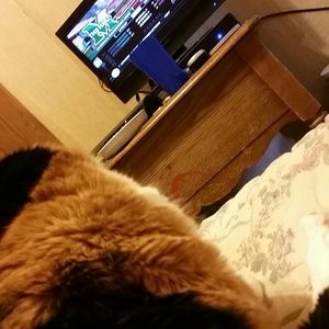 Meet your Posher, Sabrina