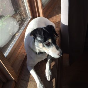 Meet your Posher, Katy